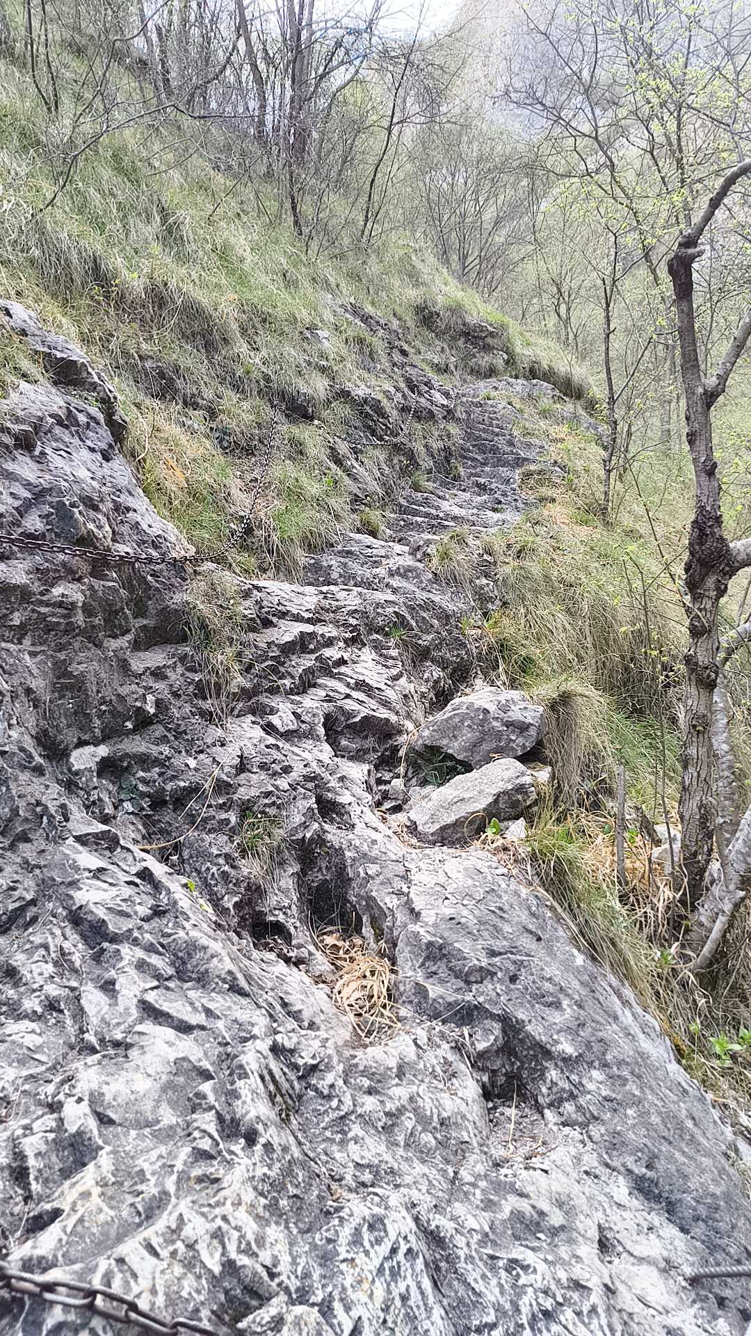 Foto n° 6 del trekking Sentiero del Fiume │ Alpe D'Era
